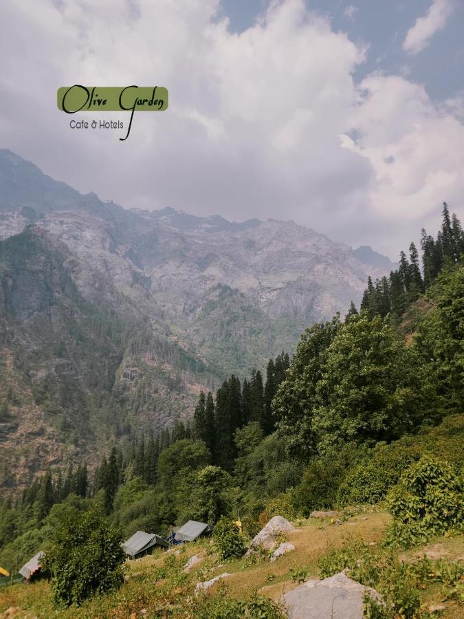 Olive Garden Classic Tosh Dış mekan fotoğraf